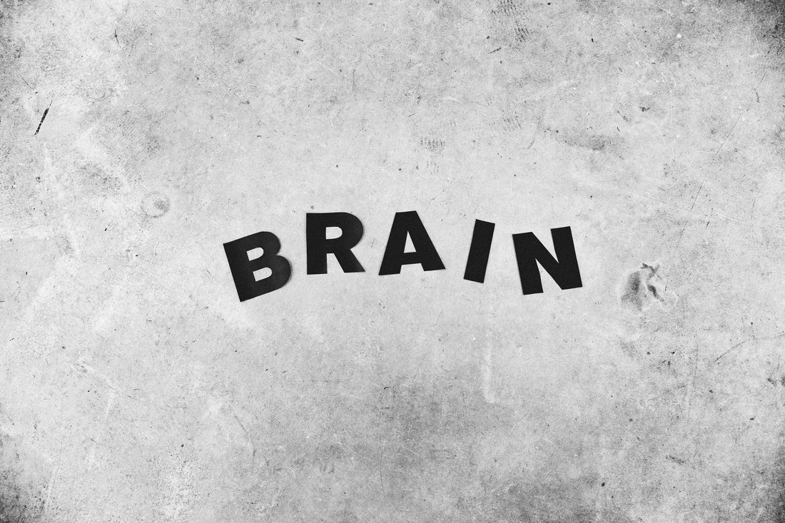 Sleep and Brain Health: How Deep Sleep Protects Memory and Cognitive Function